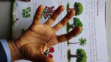 EVS GRADE-2 CH 16 THE WORLD OF PLANT