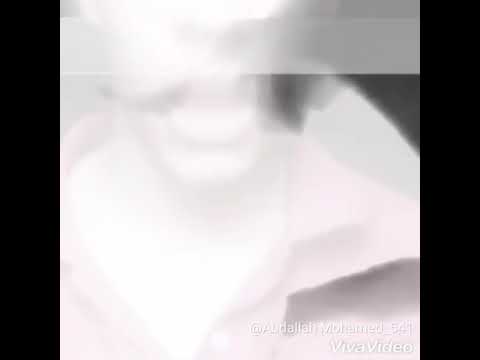 هرفع السفين عله خنجر