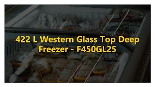 High-Efficiency Deep Freezer for Maximum Product Visibility