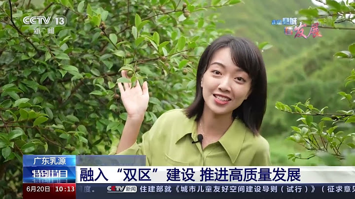 [走进县城看发展]广东乳源 走进县城看发展 融入“双区”建设 推进高质量发展|CCTV - 天天要闻
