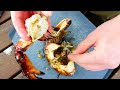 How to Prepare a Crab for Cooking