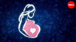 วธผลดทารก ในหองทดลอง - Nim Efi & Brian A. Levine