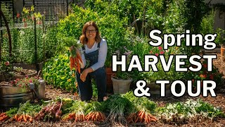 MASSIVE HARVEST & GARDEN TOUR: Arizona, Zone 9b