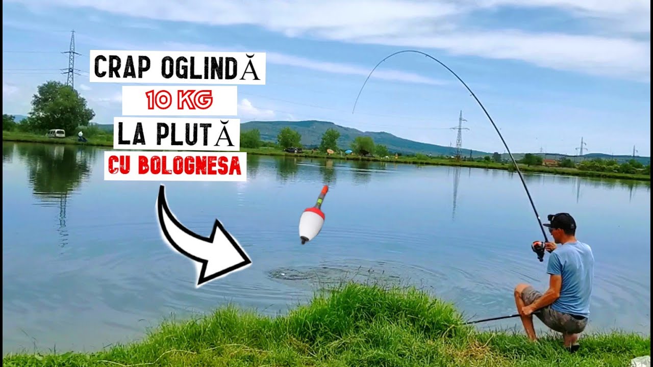 Pescuit LA PLUTA CRAP 10 KG OGLINDĂ SUPERBĂ și cum să prinzi când