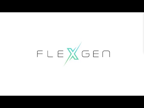 FlexGen