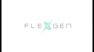 FlexGen Wealth
