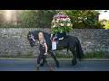 Castleton celebrates Oak Apple Day with eccentric garland procession | SWNS