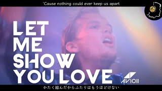 【和訳】Avicii - Let Me Show You Love （Don’t Give Up On Us／Enough Is Enough）