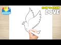 DOVE - How to Draw and Color for Kids - CoconanaTV