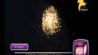 FT5037 Стрелы амура