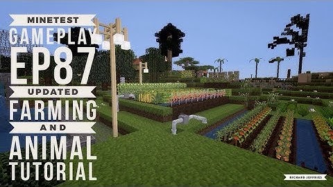 Minetest Gameplay EP87 Updated Farming and Animals Tutorial