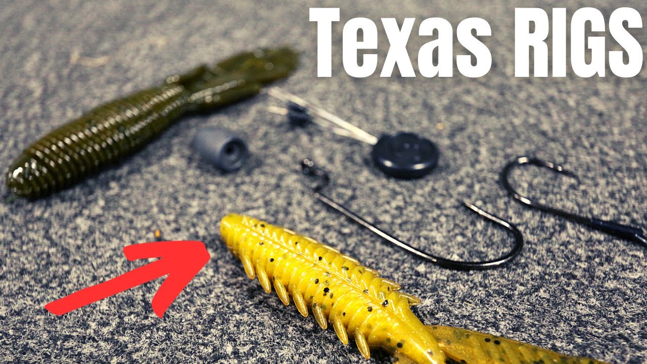 TEXAS RIGS 101 - Everything You Need To Know 