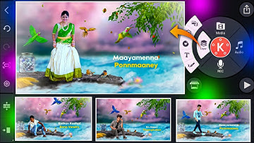 Bird lovers whatsapp status video editing in kinemaster | natural video editing alight motion part 2