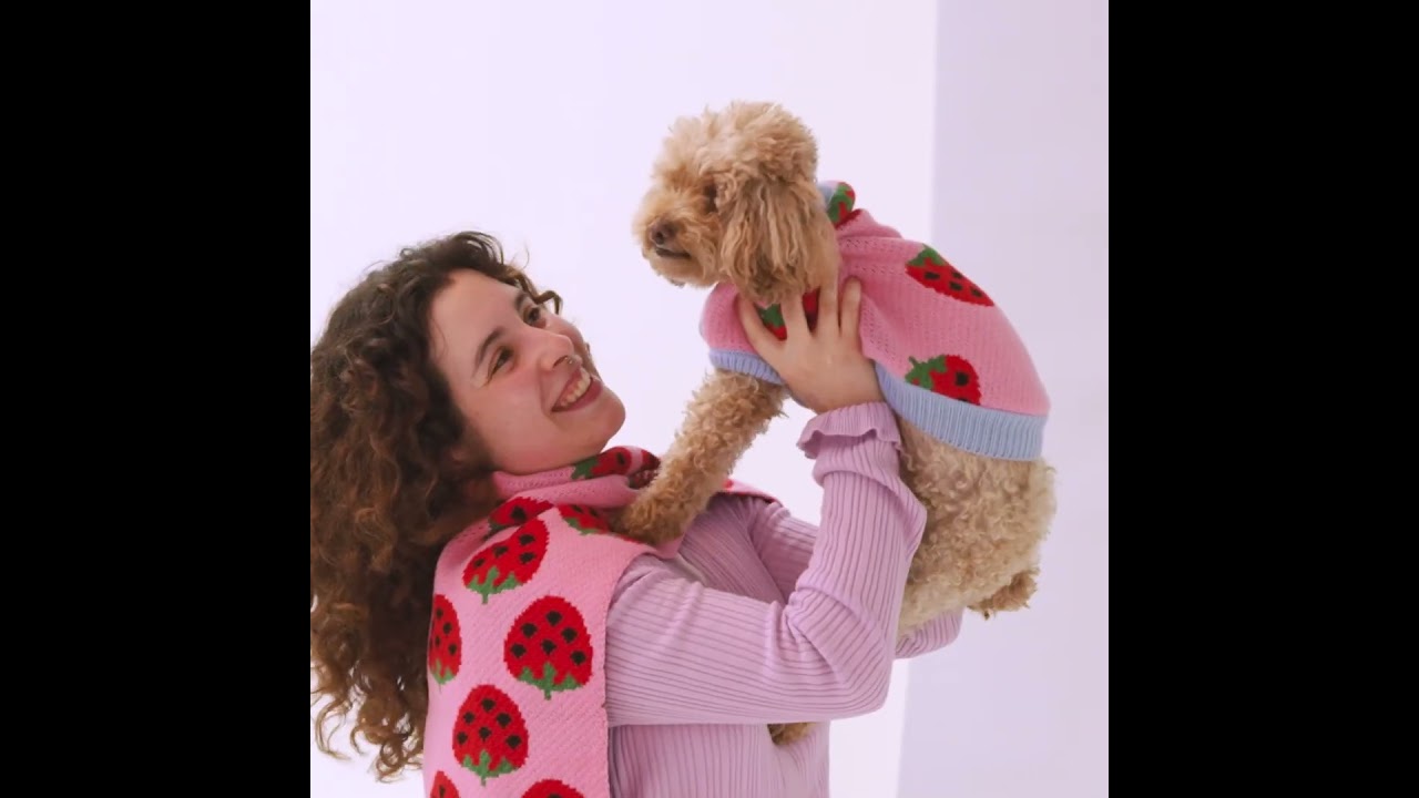 BACKSTAGE CHALECO MASCOTAS CATALOGO