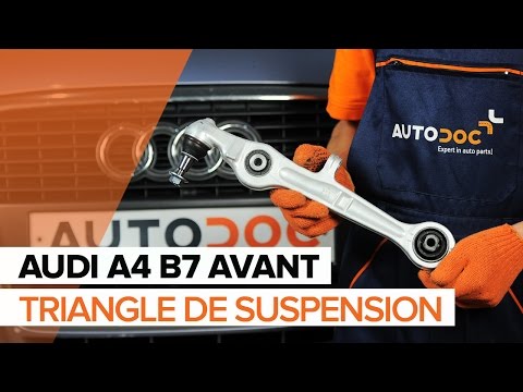 Bras De Suspension Inférieur Gauche Arrière LEMFÖRDER Pour Jaguar XJ (X350, X358) 2003-2009 - Qualité OE - 10