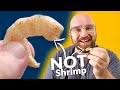 Turning ALGAE Into VEGAN SHRIMP - That TASTES LIKE THE REAL THING