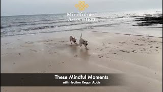 These Mindful Moments with Heather Regan Addis
These Mindful Moments with Heather Regan Addis These Mindful Moments with Heather Regan Addis