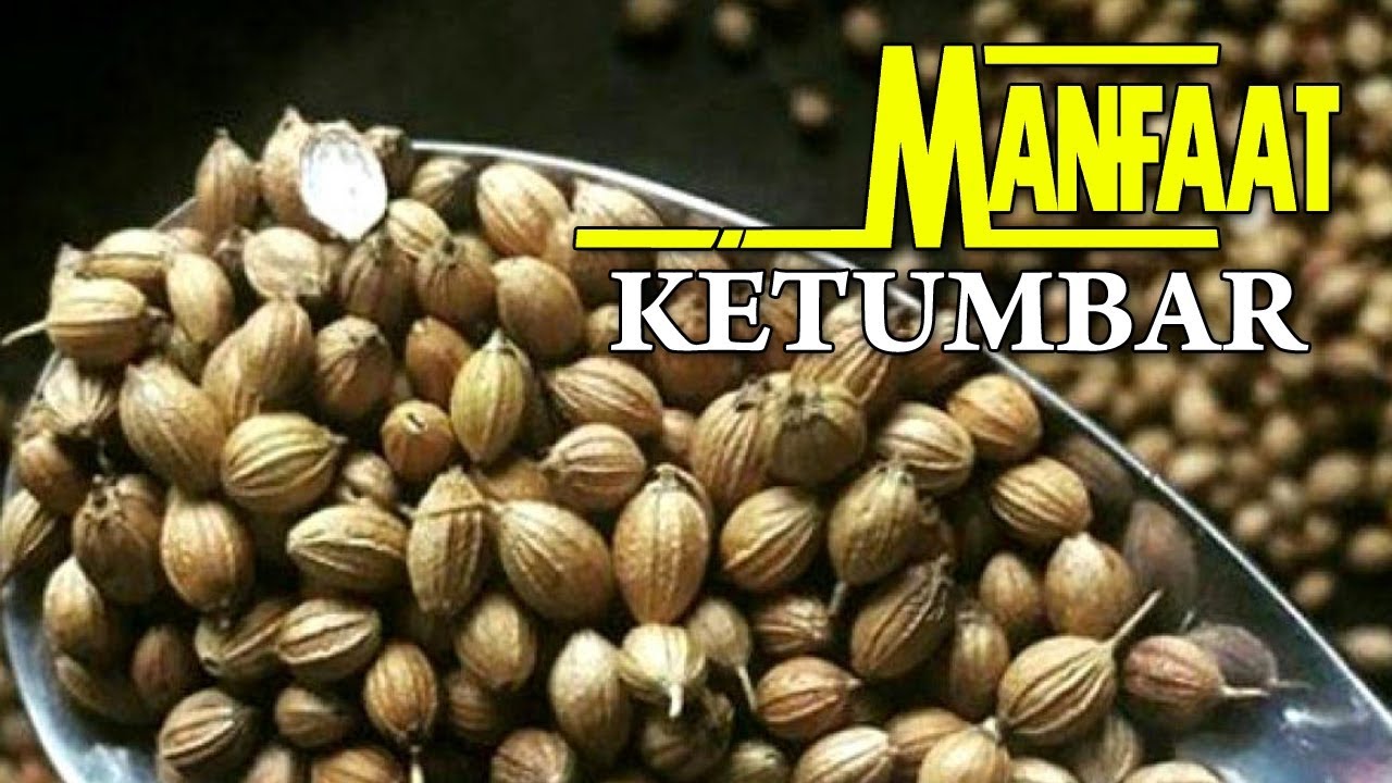 Luar Biasa Manfaat AIR REMPAH & AIR KETUMBAR, Air Ketumbar Untuk