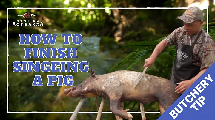 How to finish singeing a pig - Hunting Aotearoa Tip -  Part 3