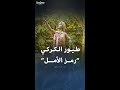 طفلة يابانية حولت طيور الكركي الورقية لرمز للسلام