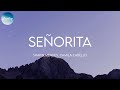 Shawn Mendes, Camila Cabello - Señorita (Lyrics)