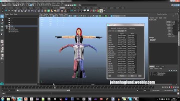 Animation Retargeter