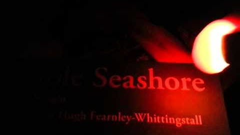 Preserving night vision with improvised red light