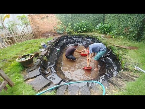 Video Cải tạo hồ cá koi ngoài trời và hệ thống lọc đơn giản|... - youtube