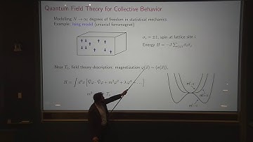 Leonardo Rastelli - Pulling Yourself Up by Your Bootstraps in Quantum Field Theory (Nov 8, 2017)