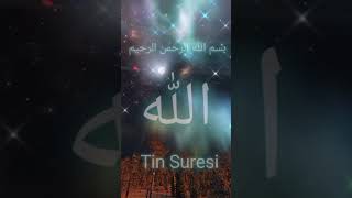 Tin Suresi (Türkçe Meali)
