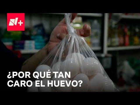 Precio del huevo en México: ¿Por qué subió tanto en 2023? - Por las Mañanas