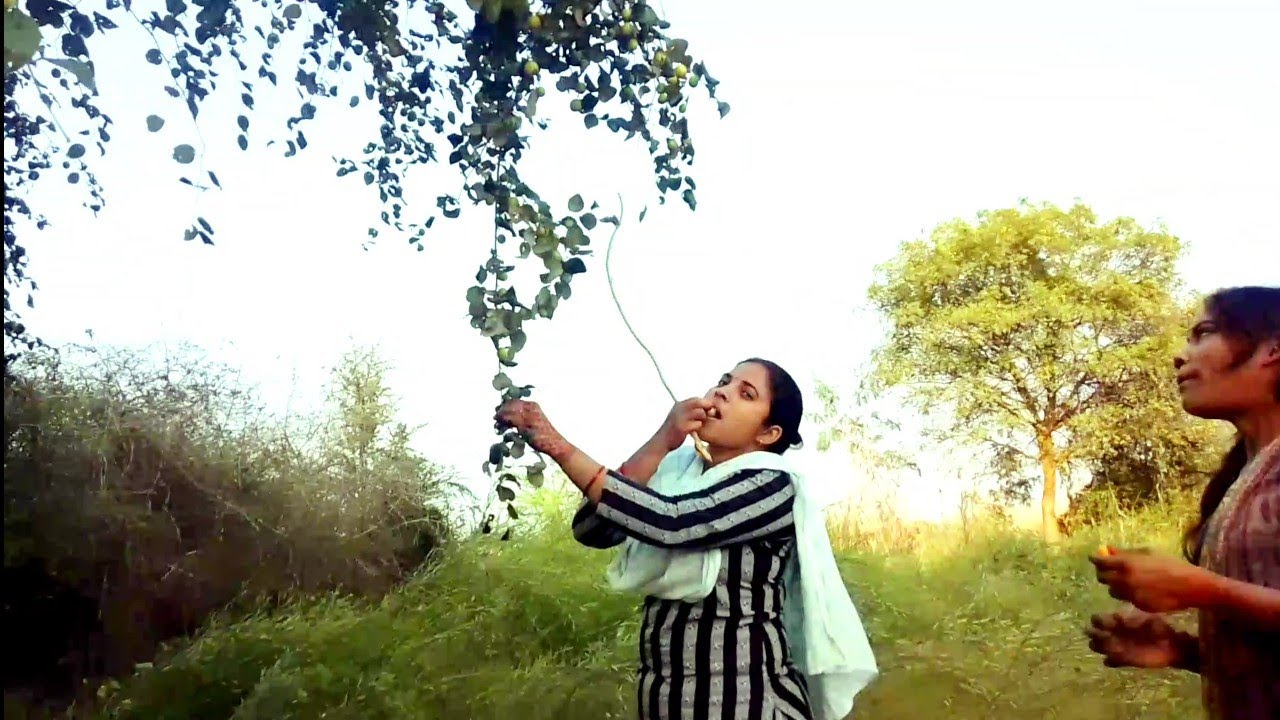 Khet per Gaye Ber khane ll Ramurtiofficialblog 