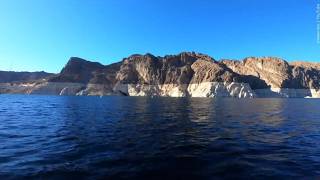 Amazon invests $20 million in Colorado River conservation coalition