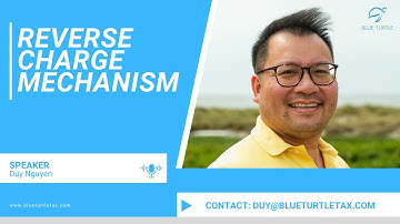 Reverse Charge Mechanism - Insights from Blue Turtle Tax