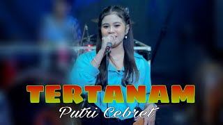 TERTANAM Cover. PutriCebret ft. Ahmad Musik