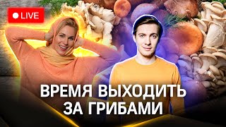 Метеострим. Идем по грибы. Круиз в Мышкине | Хохлов. Засобина