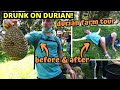 DURIAN HEAVEN in Malaysia! MUSANG KING Durian Farm in Raub, Pahang, Malaysia - WORLD'S BEST DURIAN!