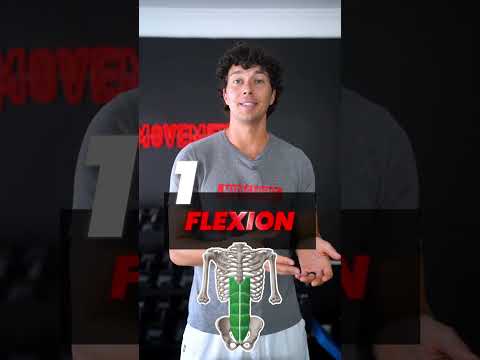 dinda777 x arenaslot188 - 6 Metode Latihan Core yang Dibutuhkan Setiap Atlet
