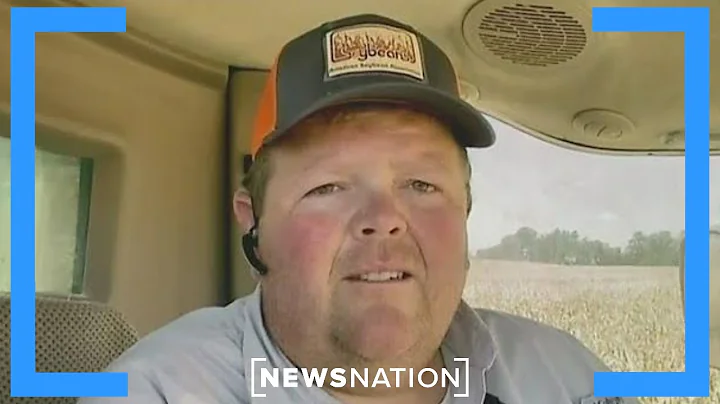 'It's a 5-alarm fire for our industry': Soybean farmer on tariff struggles | NewsNation Now