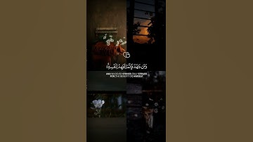 تلاوة قرانية هادئه من سورة  العنكبوت |بصوت القارئ ناصر القطامي | تلاوة🙂 تريح القلب♥والروح😇#قرآن_كريم