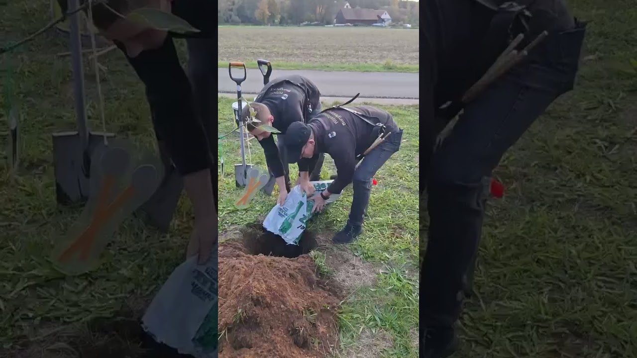 Baumpflanzchallenge 25