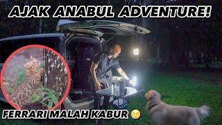 ADVENTURE MALEM BERSAMA ANABUL, FERRARI KABUR!