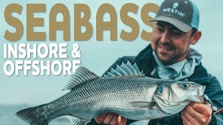 Seabass - Inshore and offshore - Westin-Fishing
