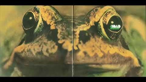 Toad - Toad (Full Album) 1971