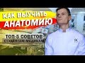 КАК ВЫУЧИТЬ АНАТОМИЮ / СОВЕТЫ СТУДЕНТАМ - МЕДИКАМ