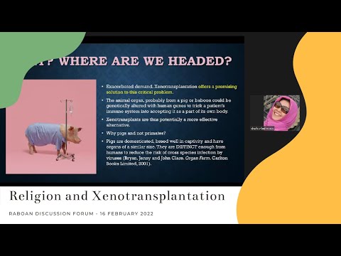 Video: Adakah xenotransplantation telah dilakukan?