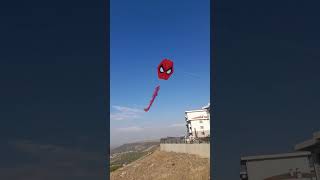 Uçurtmayı Vurmasınlar