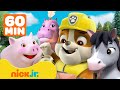 Patrulha Canina | Rubble em resgates de animais selvagens! com Zuma, Rocky e Chase | 1h | Nick Jr.