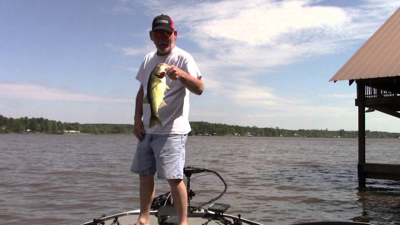 Bass Fishing Gantt Lake With A Bladed Jig YouTube