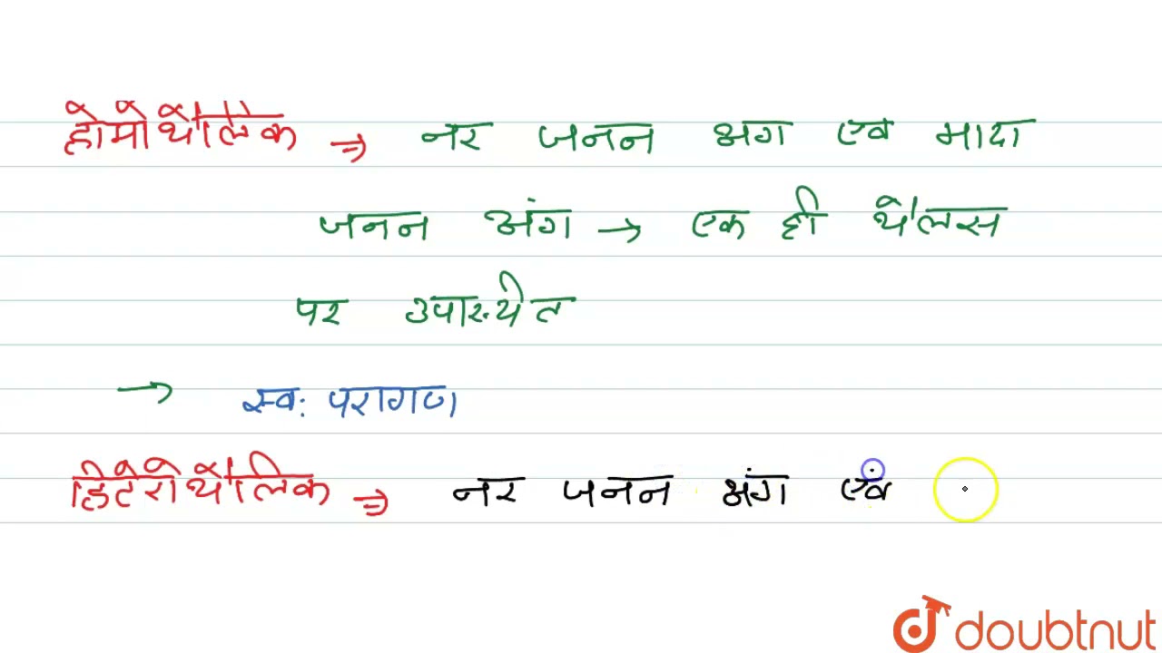 होमोथैलिक एवं हेटेरोथैलिक में क्या अंतर है? | 12 | जीव विज्ञान | BIOLOGY | S CHAND | Doubtnut